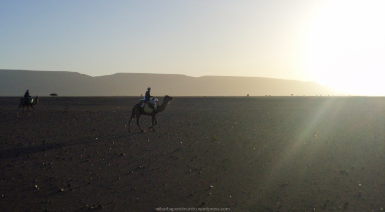 El dueño de la barba en el Sahara El dueño de la barba en el Sahara