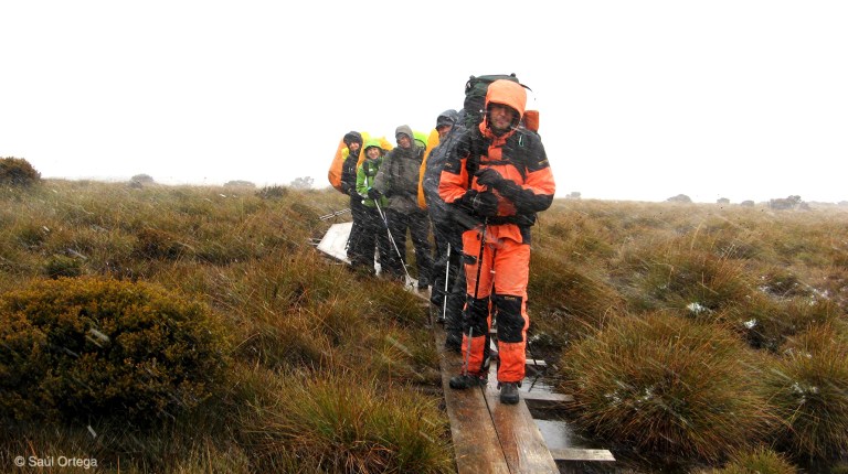 Tormenta en overland track - Tasmania