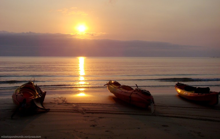 Amanecer ruta en kayak - Daintree National Park