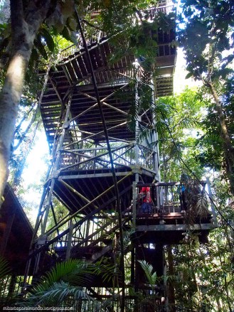 Canopy Tower - Daintree National Park (Australia)