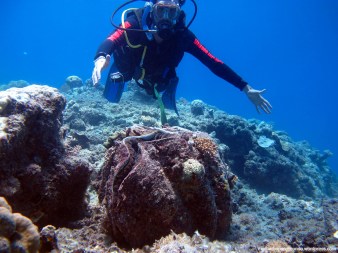 Saúl buceando - Great Barrier Reef (Australia)