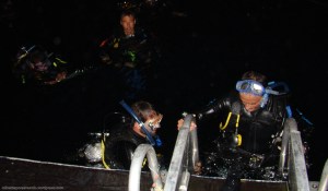 Subiendo al barco - Kangaroo Explorer (Australia)