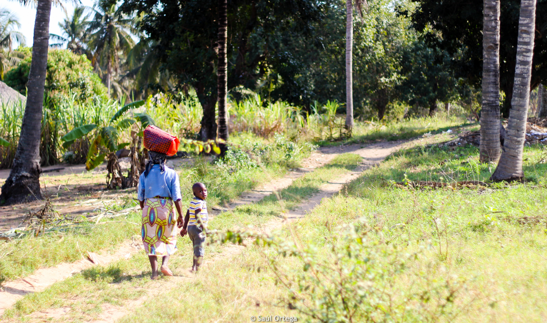 Autóctonos curiosos (Mozambique)