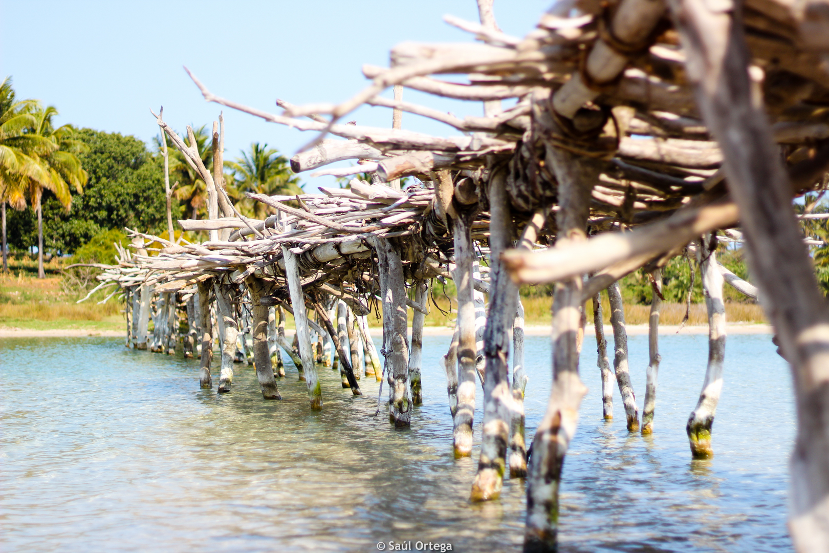 Puente de madera - Lago Quissico (Mozambique)