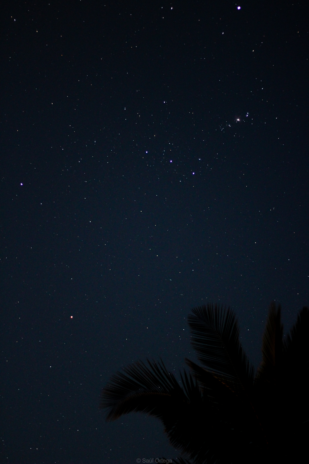 La constelación de Orión desde Quissico (Mozambique)