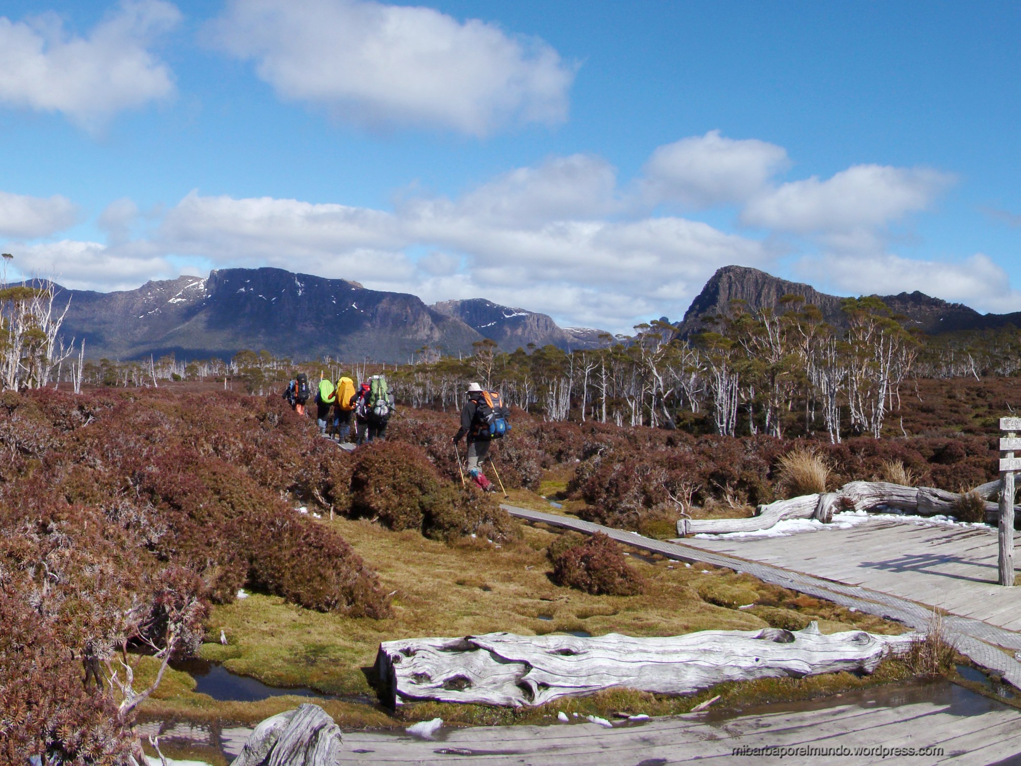 Collado Pelion en el Overland Track de Tasmania