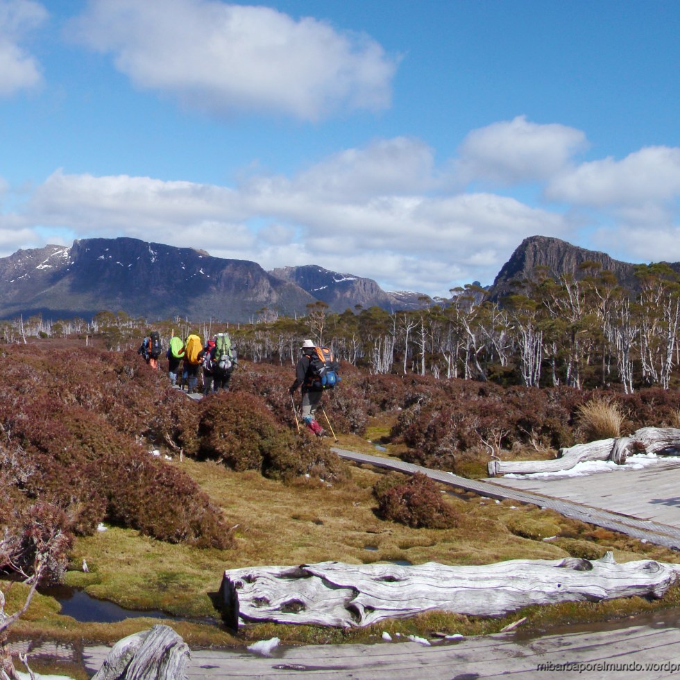 Collado Pelion en el Overland Track de Tasmania