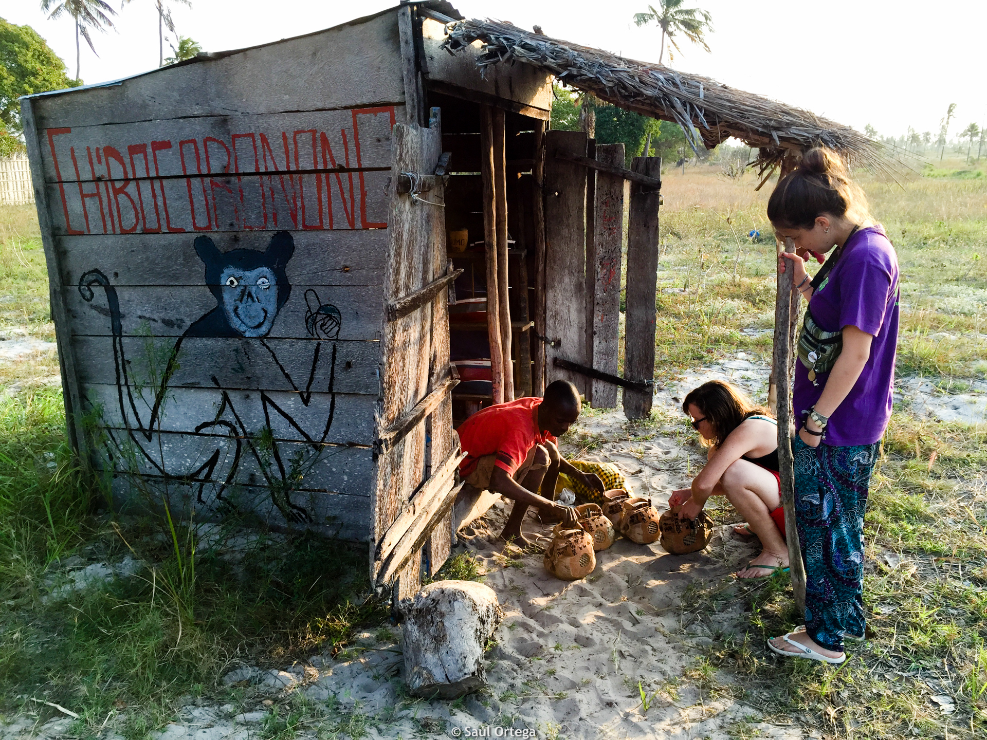 Puesto de Chibo con sus cocoradios - Inhambane (Mozambique)