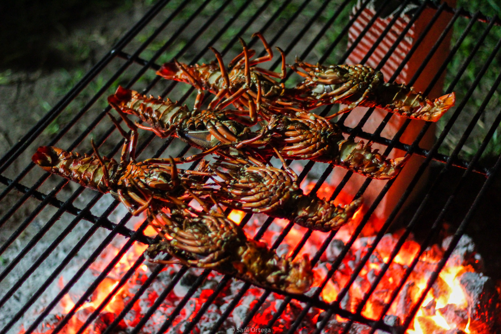 Langostas a la brasa - Inhambane (Mozambique)