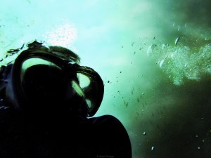 Buceando en Tofo (Mozambique)