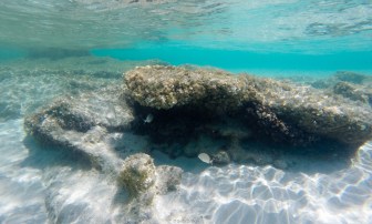 Fondos marinos de Formentera