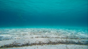 El agua es limpia y cristalina (Formentera)