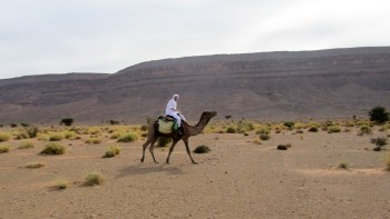 Mi barba incipiente de berebere por el desierto Mi barba incipiente de berebere por el desierto