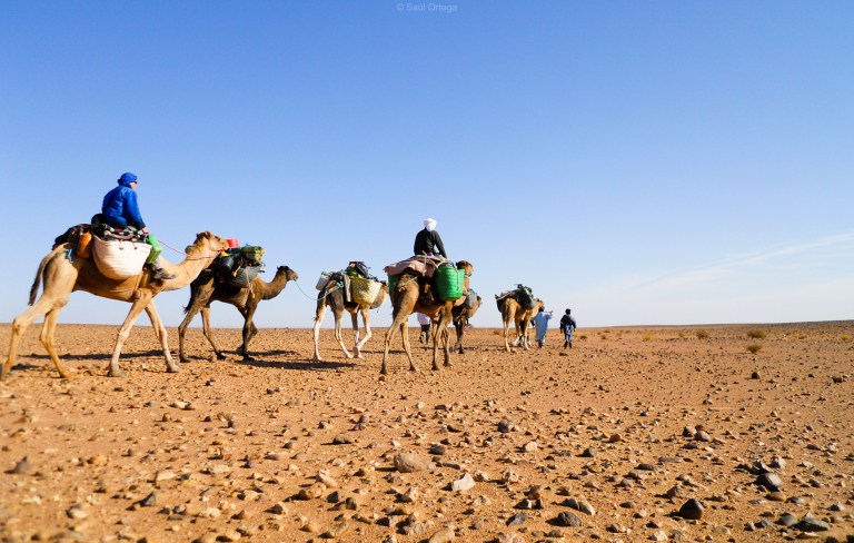 La caravana en el sahara marroquí La caravana en el sahara marroquí