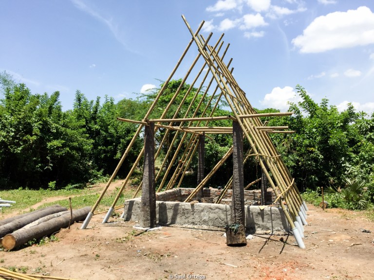 Estructura principal