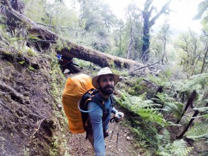 Terrenos complicados en el Hollyford Track - New Zealand