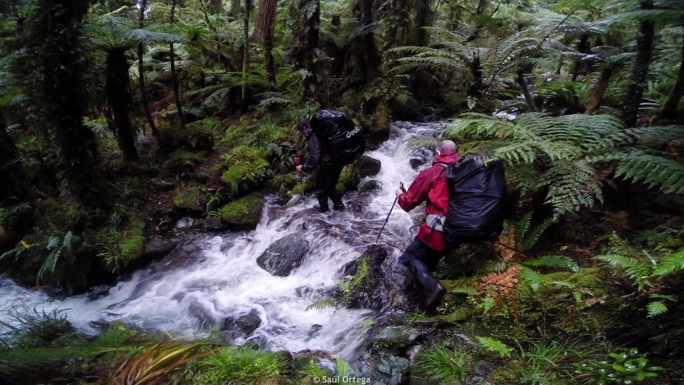 Cuando entiendes porqué esta ruta la hace poca gente - Hollyford Track - New Zealand