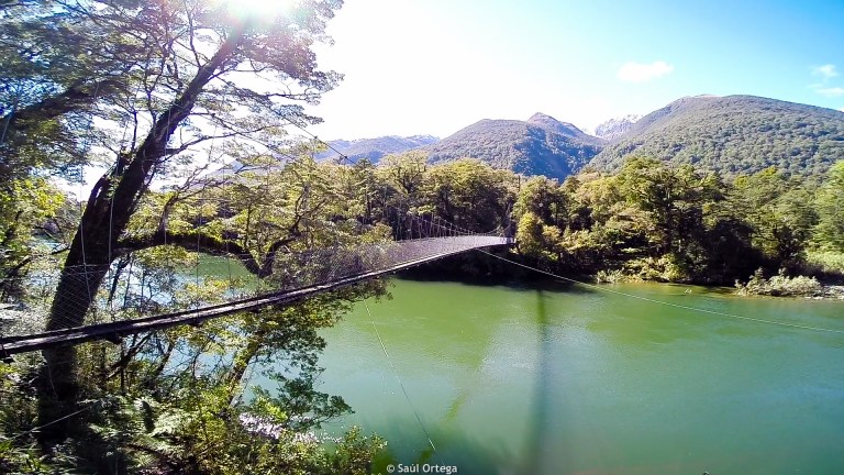 Puentes más que largos para ponernos a prueba - Hollyford Track - New Zealand