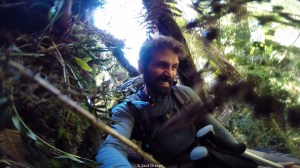 Sendas de difícil avance que hacen que te esfuerces aún más - Hollyford Track - New Zealand