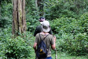 La ruta atraviesa el parque nacional Periyar a través del tiger trail - Kerala - India